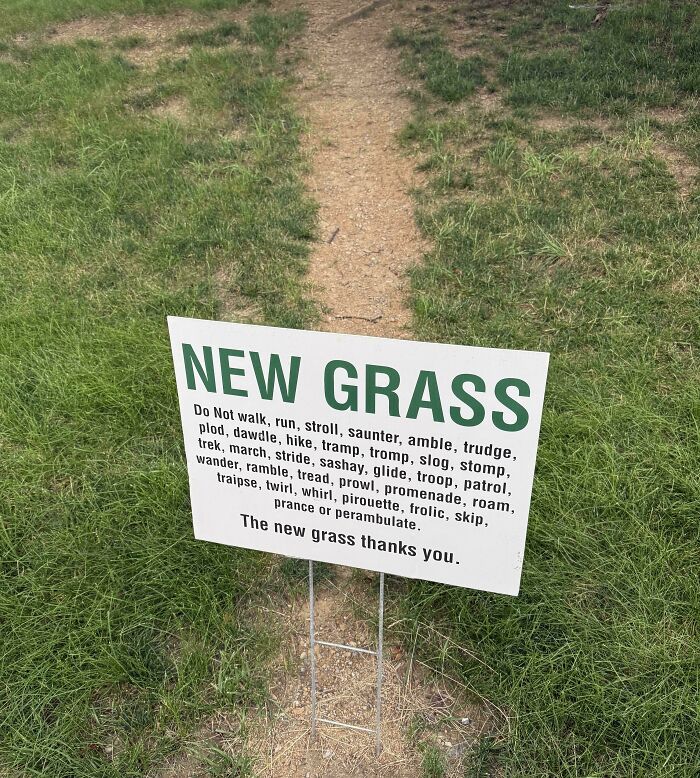 Desire path worn through grass despite sign asking people not to walk on the new grass in an urban park setting.