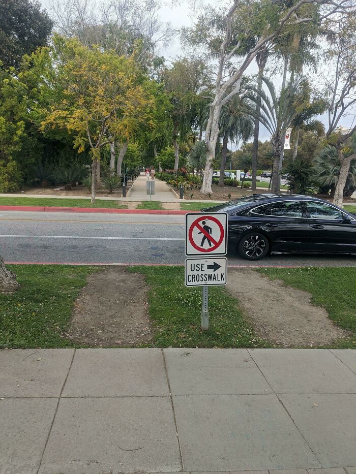 Desire paths worn through grass by pedestrians ignoring city sidewalk and crossing street where no crosswalk exists.