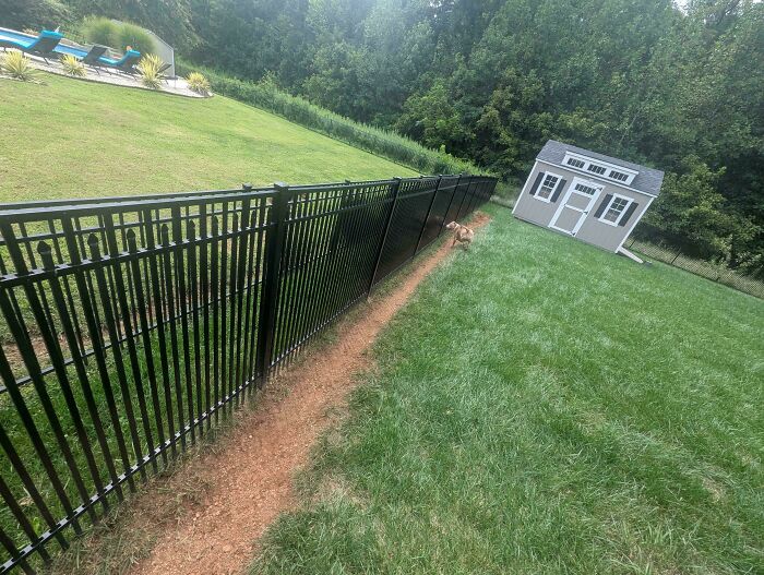 Desire path worn along black metal fence shows how people walk differently than city planning in a green backyard with a shed.