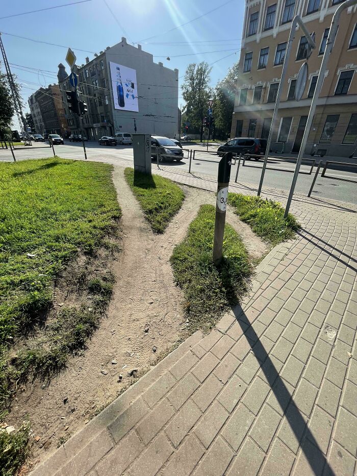 Desire paths worn in grass show how people walk differently from planned sidewalks in a city intersection on a sunny day.