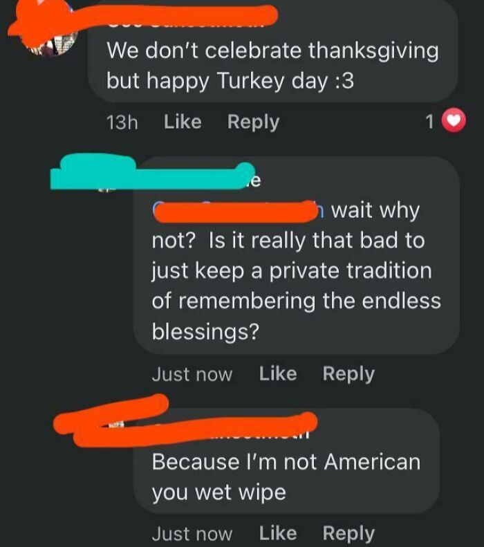 Screenshot of ridiculous American internet comments showing a debate about Thanksgiving traditions and national identity.