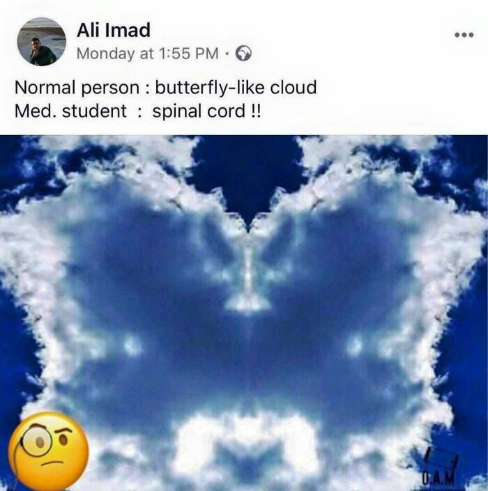 Cloud shaped like a butterfly with a medical student humor meme about spinal cord, highlighting healthcare humor and memes.