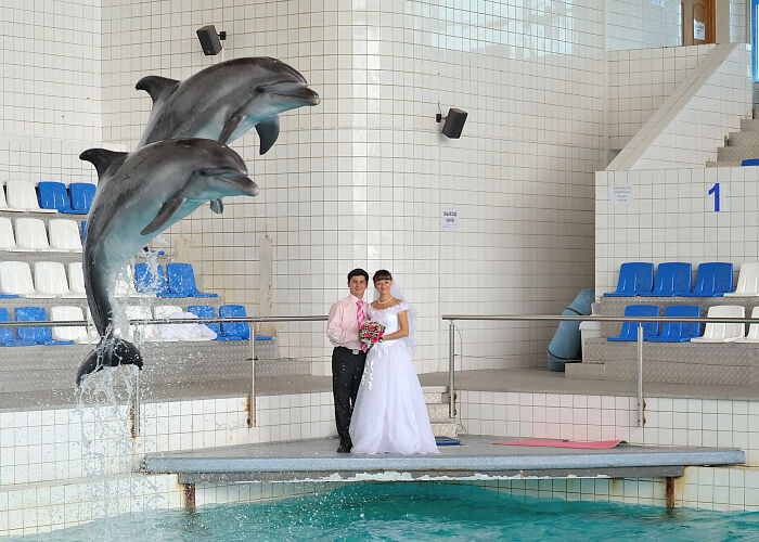 Bride and groom posing awkwardly near a pool with dolphins jumping, creating an unusual wedding photo moment.