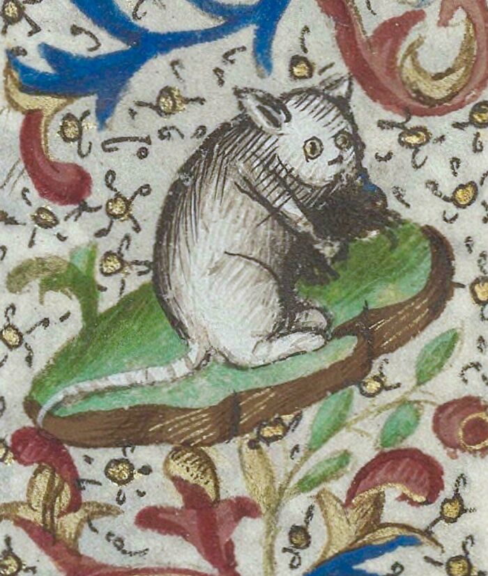 Medieval old painting of a rat with a humorous, crude style surrounded by colorful floral decorations and gold accents.