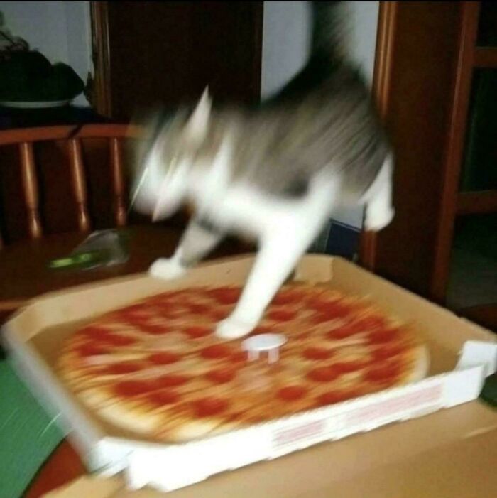 Blurry scrungy cat walking on a pepperoni pizza in a box on a wooden table indoor setting.