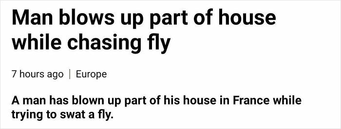 Man causes explosion at home in Europe while chasing fly, one of the wild incidents making unexpected headlines.