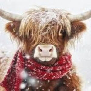 abigailstewart_1 avatar