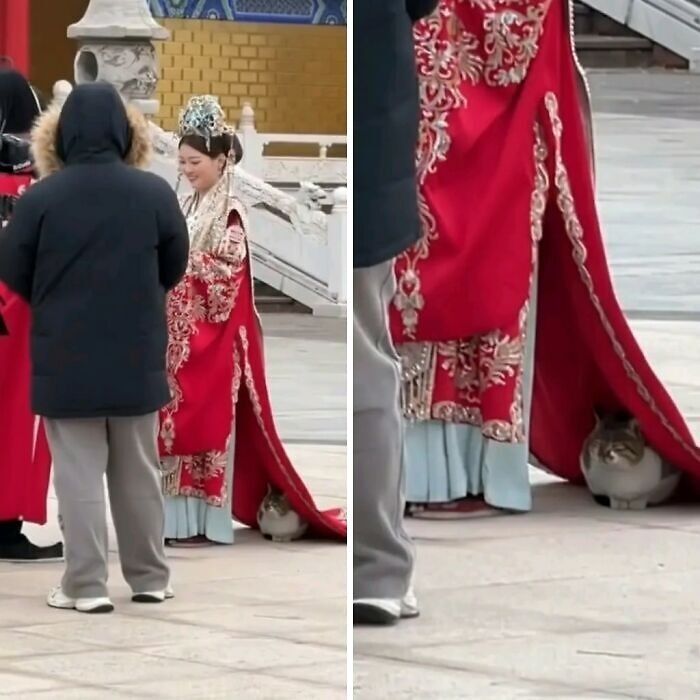 A cat humorously hiding under the long red dress of a person in traditional attire, captured in a hilarious moment caught on camera.
