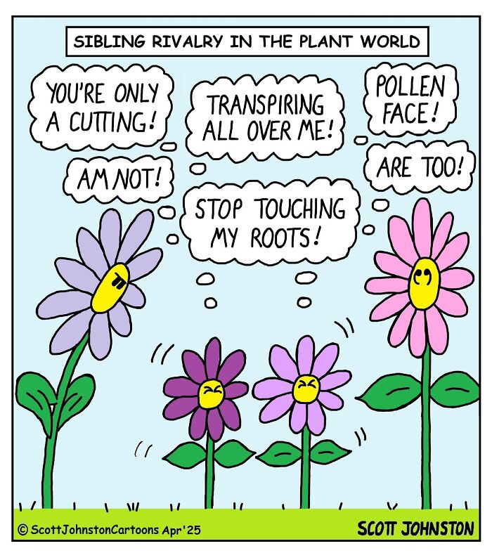 Two tall flowers argue with two smaller flowers, illustrated in a humorous Scott Johnston comic about plant sibling rivalry.