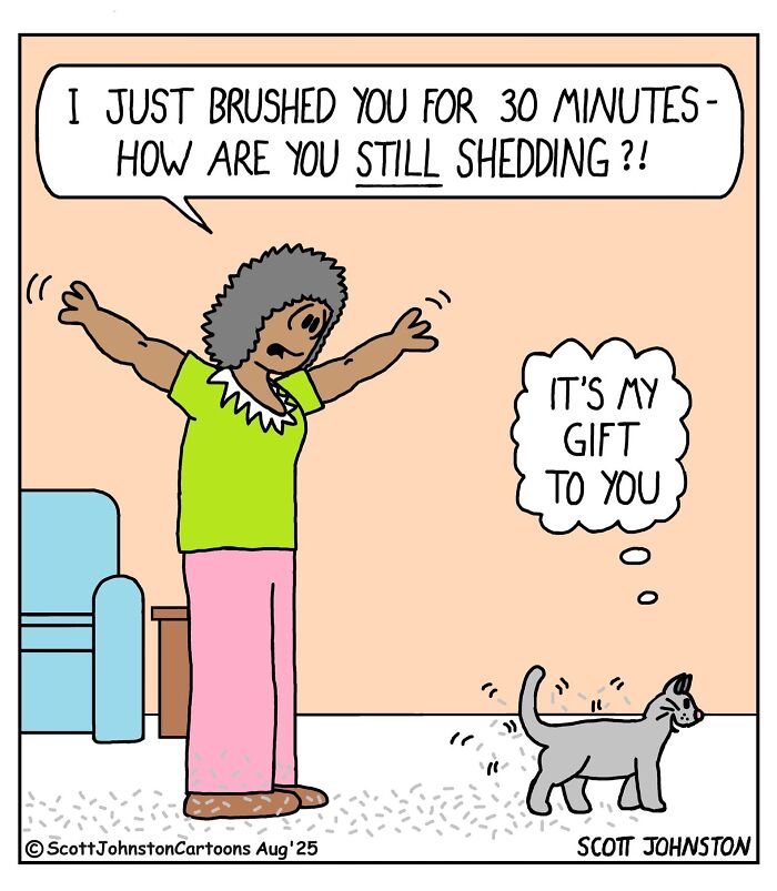 Woman talking to a cat about shedding cat hair, featured in Scott Johnston’s latest humorous comics.