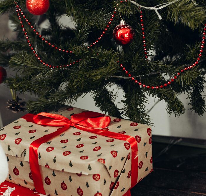 Christmas tree decorated with red ornaments and a gift wrapped in festive paper with a red ribbon under the tree.