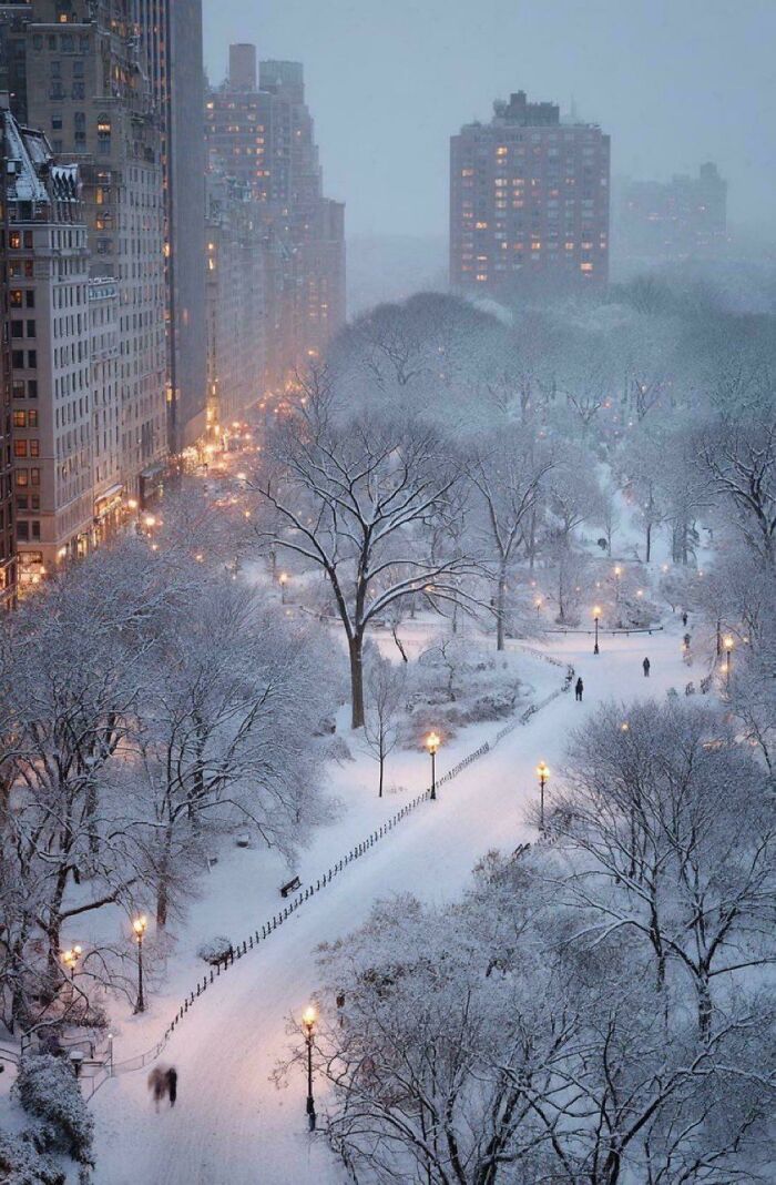 Parque cubierto de nieve con farolas encendidas y edificios altos al fondo en invierno acogedor y tranquilo.