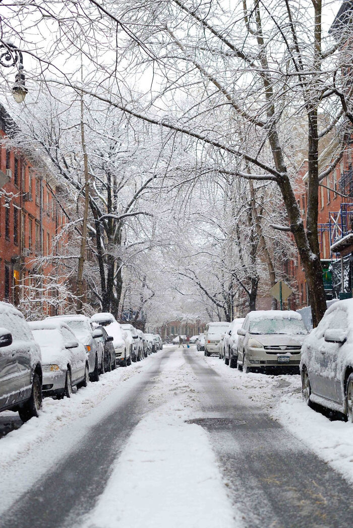 Snow-covered street lined with parked cars and trees, creating a cozy winter scene in an urban neighborhood.