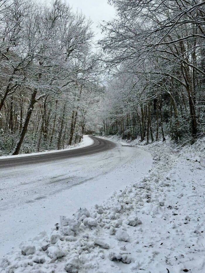 Snow-covered winding road through a quiet forest with bare trees, perfect for cozy winter images to enjoy indoors.