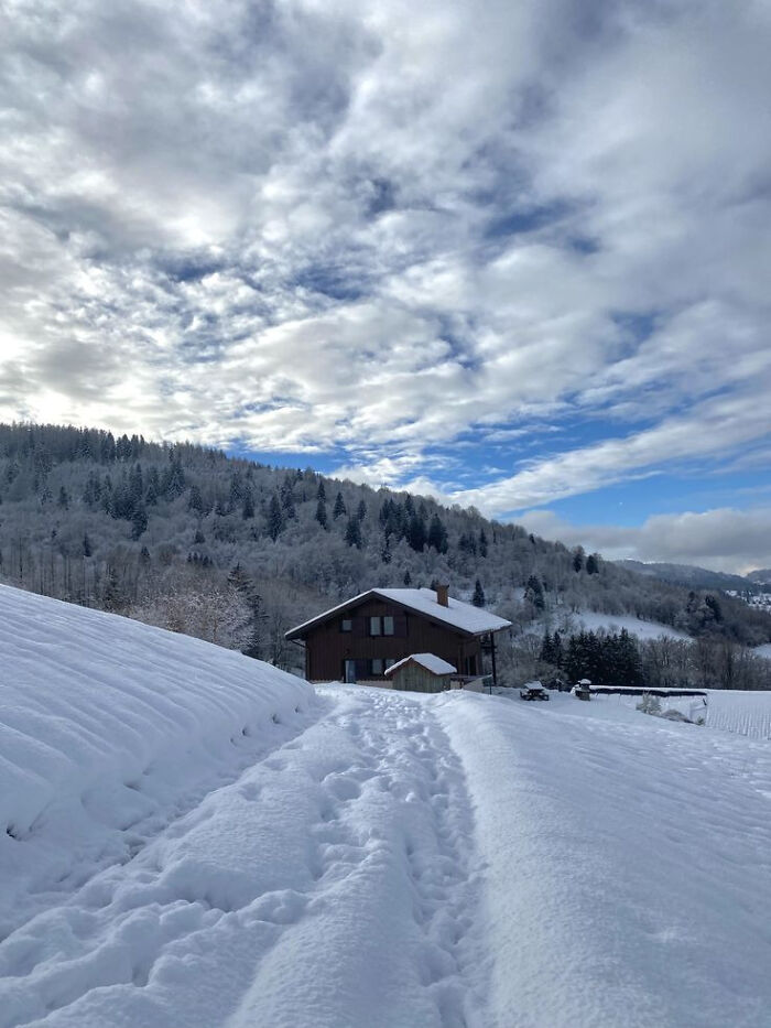 Paisaje invernal con nieve y casa acogedora rodeada de árboles, imagen que refleja invierno para disfrutar sin frío.
