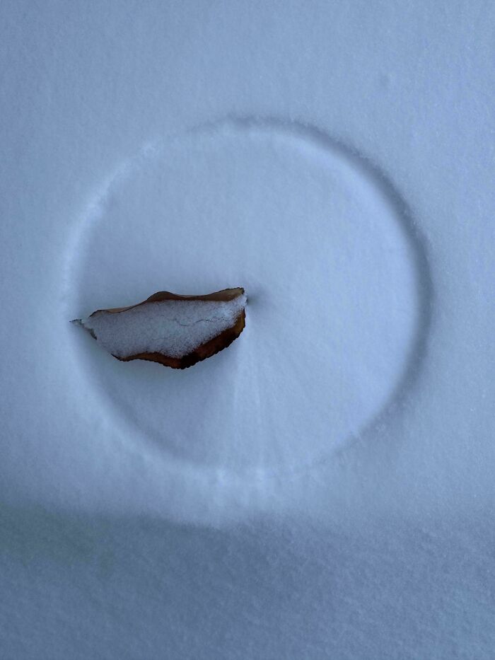 Hoja cubierta de nieve en un círculo perfecto sobre una superficie nevada, imagen acogedora de invierno.