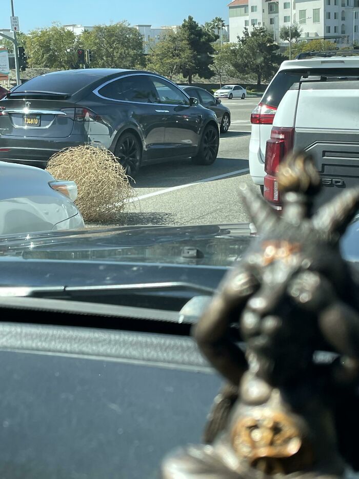 Tumbleweed rolling across busy street behind black car, creating a confusing and funny scene in public traffic.