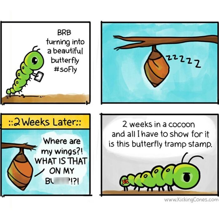 Comic strip by an artist showing a silly, relatable caterpillar transforming inside a cocoon with humorous butterfly comic.