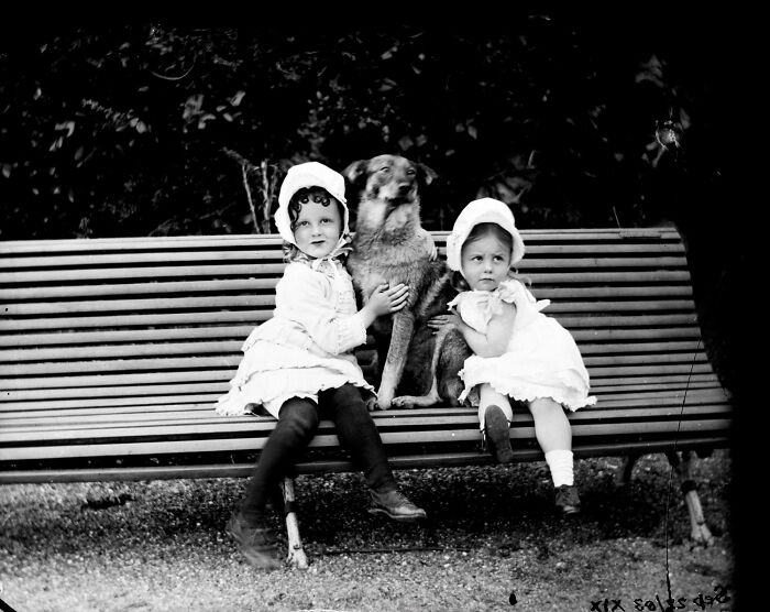 Two Victorian era children in period clothing sitting on a bench with a dog, illustrating life in the Victorian era.