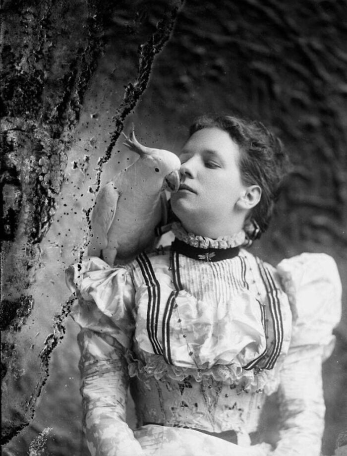 Victorian era woman in a detailed dress with a cockatoo perched on her shoulder in a vintage black and white photograph.