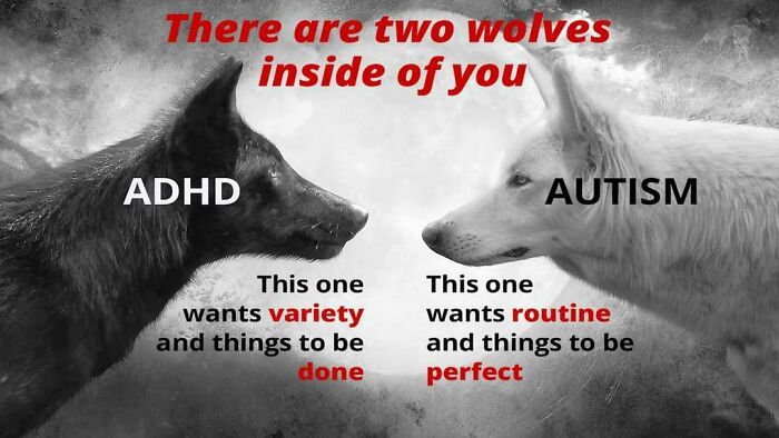 Black and white wolves labeled ADHD and Autism facing each other, illustrating contrast in a spicy, neurodivergent brain.