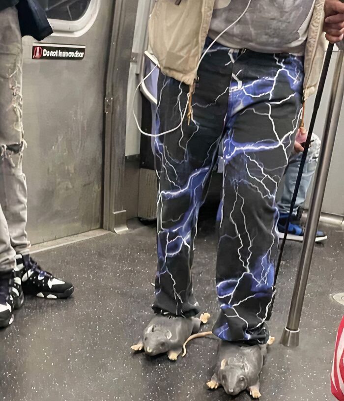 Person wearing lightning-patterned pants and shoes resembling rats on a subway floor in a confusing funny picture.