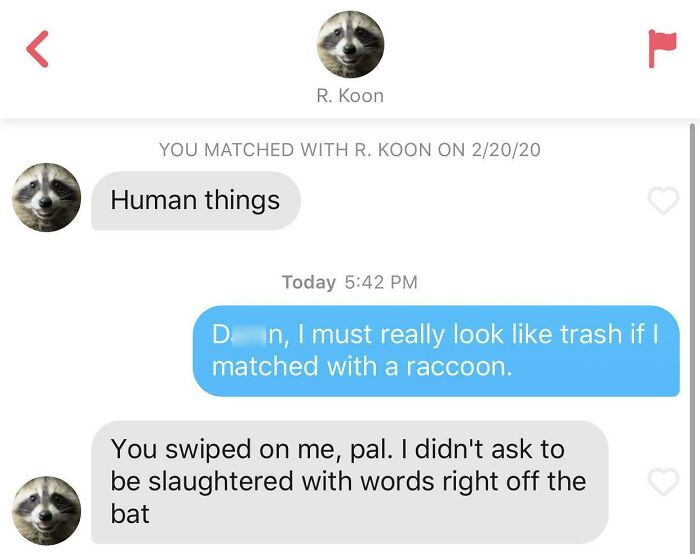 Tinder conversation featuring a humorous exchange involving a raccoon profile and witty comebacks.