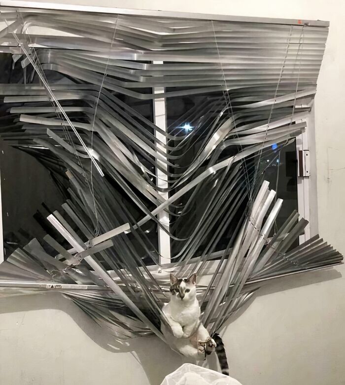 Cat sitting comfortably amidst twisted and bent metal blinds in a confusing and funny picture scene.