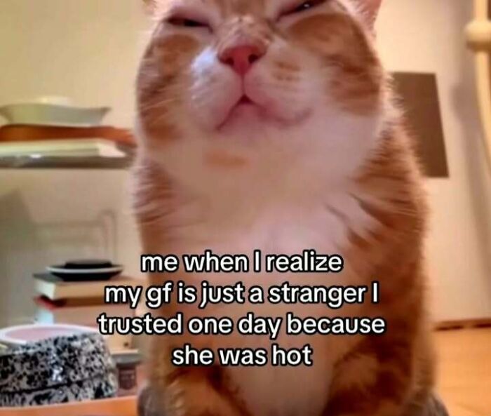 Funny cat meme expressing relationship doubts, perfect for loving memes to send to your girlfriend and make her feel appreciated.