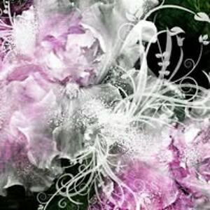 brandioxoxoxo avatar