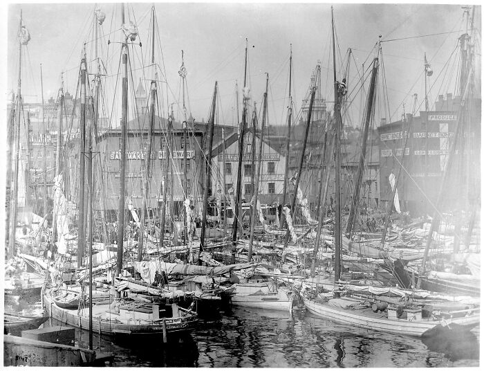Historic black and white photo of a crowded harbor filled with sailboats reflecting US history visuals not found in textbooks