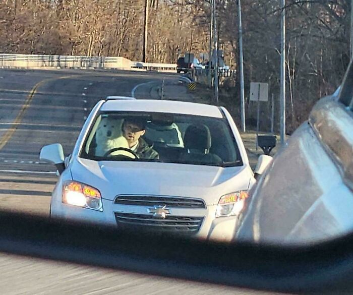 Driver distracted by large dog in car, illustrating dumb drivers shamed for unsafe behavior on the road.