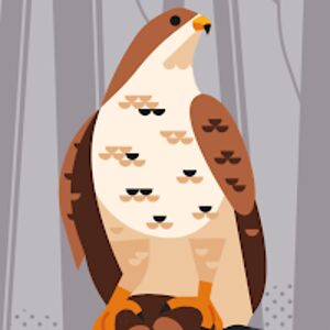 jacksonnorine avatar