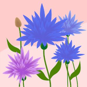 cassidischambre avatar