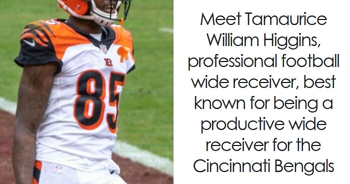 Tee Higgins: Bio And Career Highlights