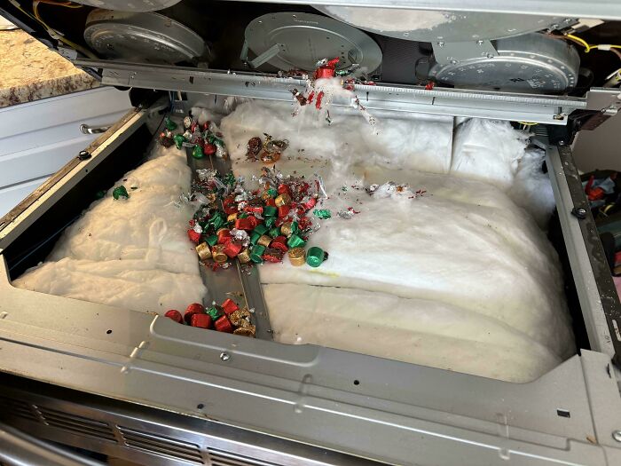 Open dishwasher with spilled melted candy inside, showing an unfortunate event that may lighten your own day.
