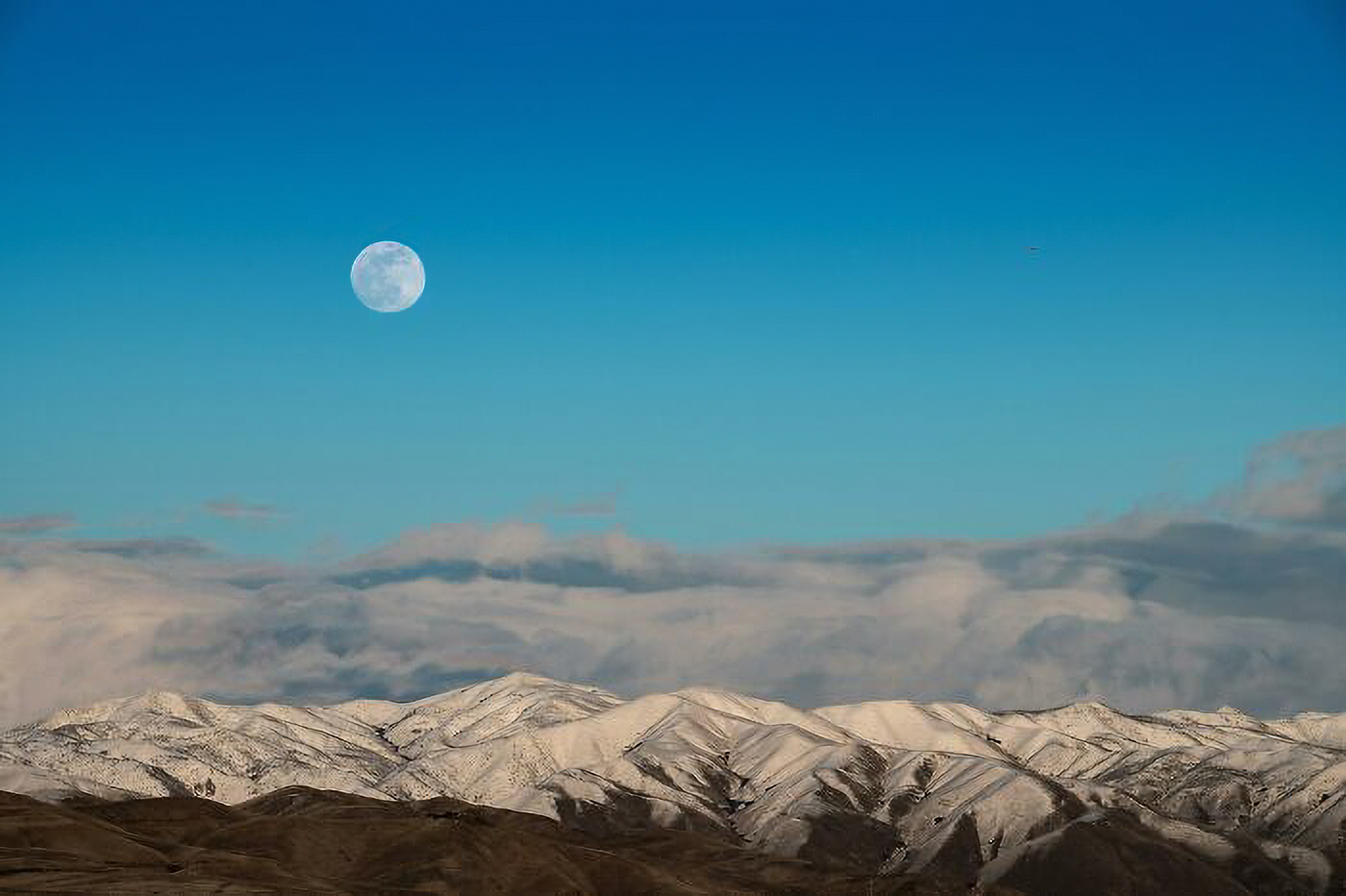 Kufri: The Quieter Side Of Himachal That Stole My Heart