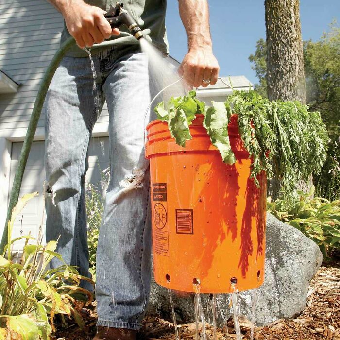 Man watering plants using a DIY self-watering bucket, demonstrating practical examples of if it's stupid but it works then it's not stupid.