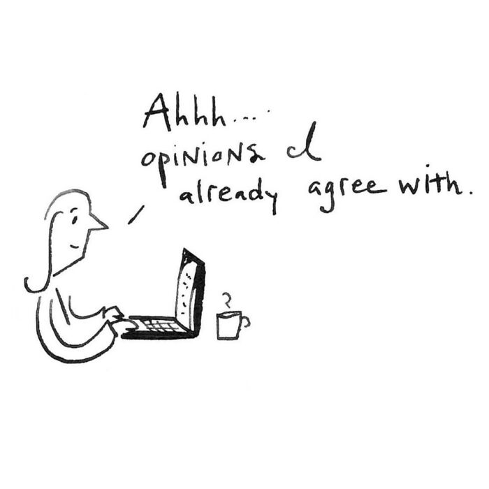 Cartoon by Dana Jeri Maier showing a person at a laptop commenting on opinions they already agree with in modern life.