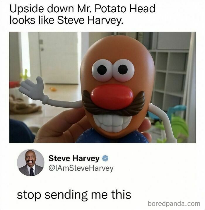 Funny meme showing Mr. Potato Head toy with caption comparing it to Steve Harvey, highlighting random humor and reactions.