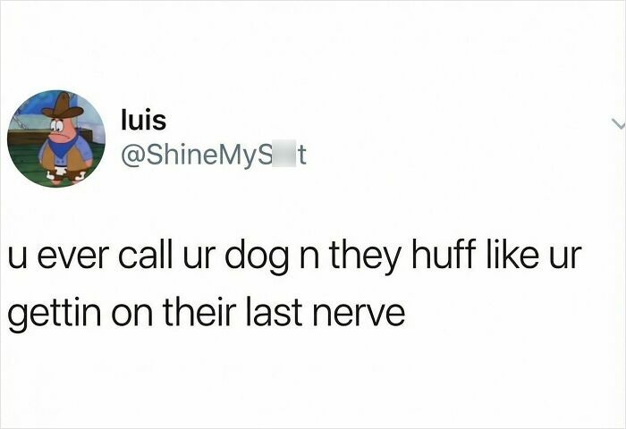 Funny meme text about dogs huffing when called, capturing randomness in a relatable and humorous way for meme lovers.
