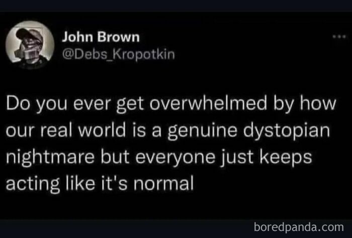 Tweet by John Brown reflecting on feeling overwhelmed by the real world as a genuine dystopian nightmare seeming normal.