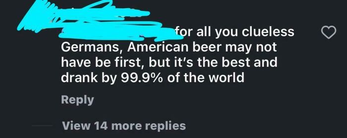 Screenshot of a social media comment showing one of many dumb comments by Americans that frustrated the internet.