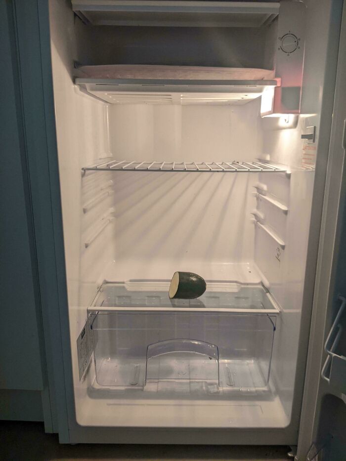 Almost empty fridge interior with only one half avocado, showing unusual fridge contents not fitting the Pinterest aesthetic vibe.