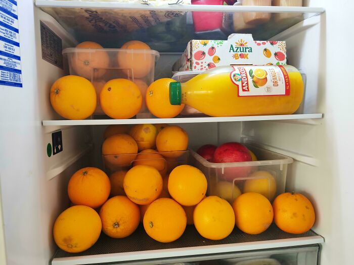 Fridge contents filled mostly with oranges and orange juice, showcasing interesting but unPinterest aesthetic organization.