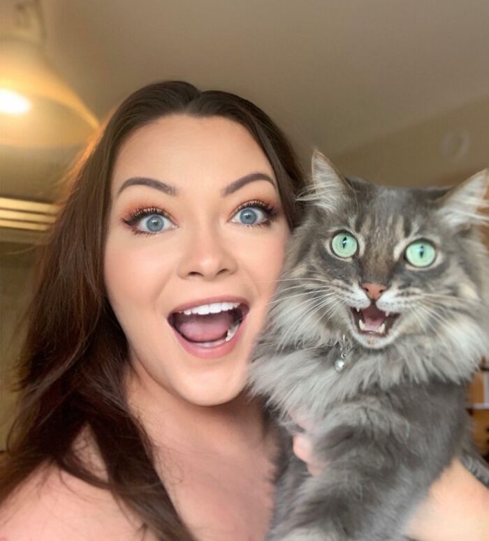 Young woman holding a fluffy gray cat making silly faces, capturing a fun moment with animals making silly faces.