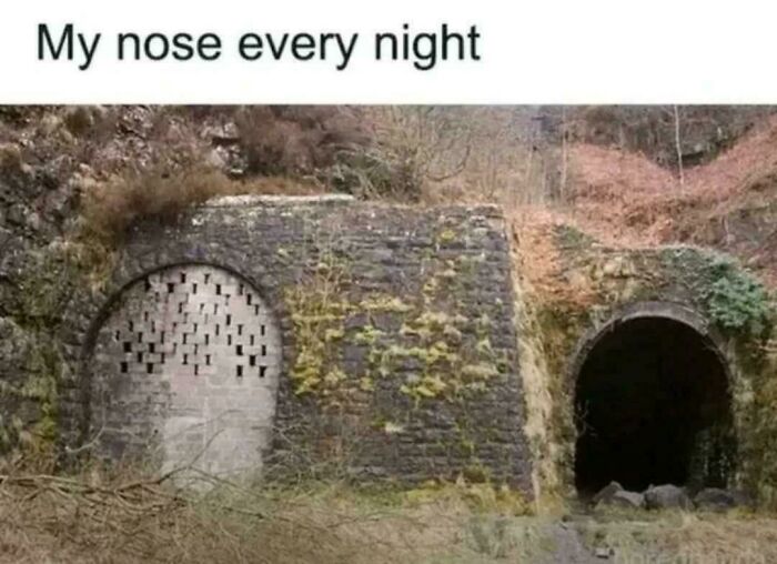 Old stone tunnels side by side representing a relatable meme about nose congestion every night in hilarious meme style.