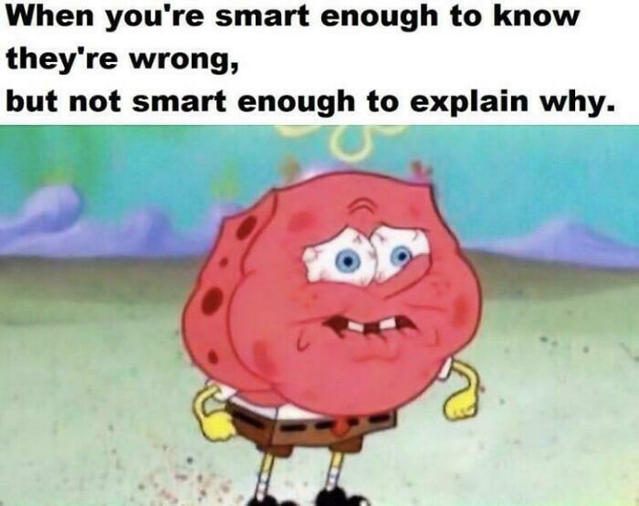 Relatable meme with SpongeBob looking frustrated, highlighting the struggle of knowing when others are wrong but not explaining why.