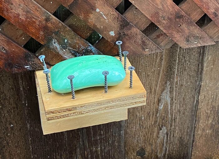 Wooden soap holder with screws securing a bar of soap, showcasing a clever if it's stupid but it works example.