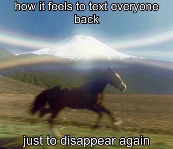 Horse running in a field with a mountain and rainbow, illustrating relatable hilarious memes about texting and disappearing quickly.